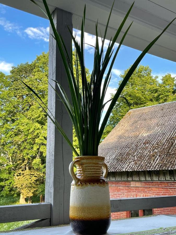 Strautmali White House In Mazirbe Villa Buitenkant foto